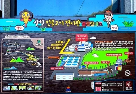 삼척 민물고기 전시관: 아이와 함께하는 강원도 가족 여행 코스 — 사진 3