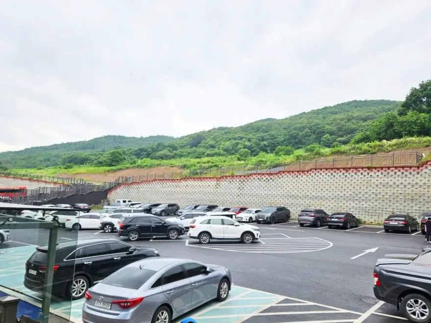 단양 비 오는 날 여행 코스: 도담삼봉부터 시루섬까지 — 사진 8