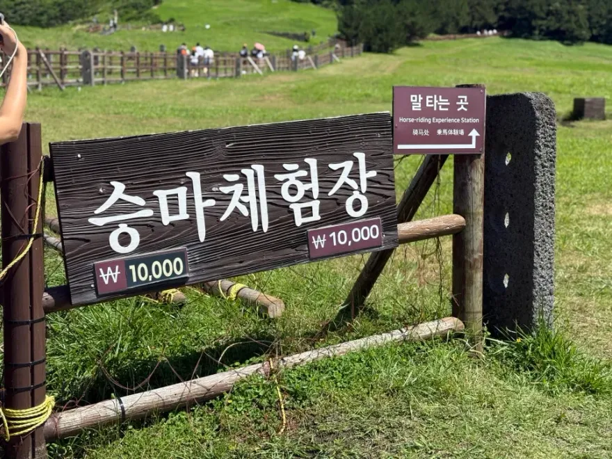제주도 2박 3일 미니버스 후기: 부모님과 편안한 단체여행 코스 — 사진 14