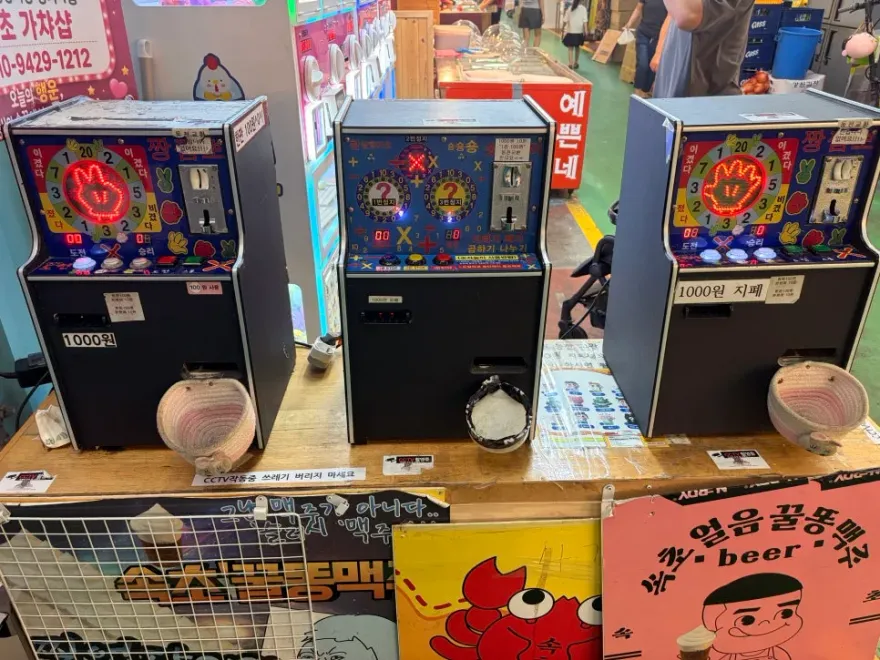 양양·강릉·속초 2박 3일 먹방 여행: 알찬 코스와 숨은 맛집 — 사진 18